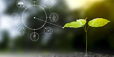 VDI TZ und VDI e.V.: Bioökonomie gemeinsam vorantreiben  