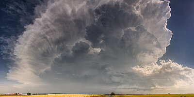 Mehr klimaresiliente Lösungen für Unternehmen   